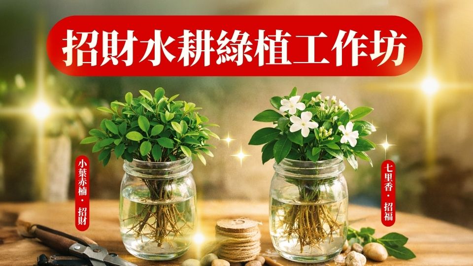 善103 招財水耕綠植幸福工作坊-現場